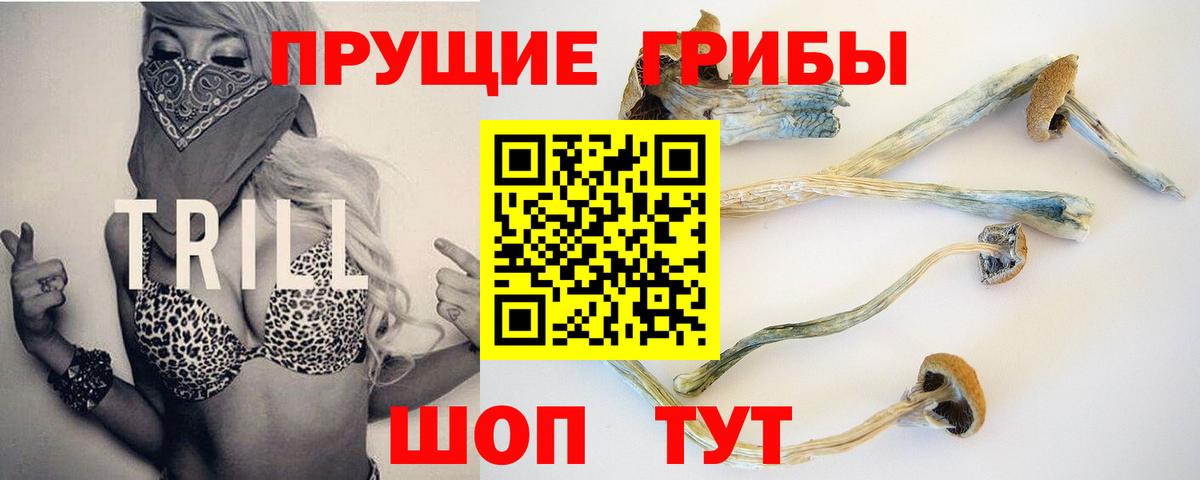 Псилоцибиновые грибы мицелий  Псилоцибиновые грибы Magic Shrooms  Вход с VPN  Химки 